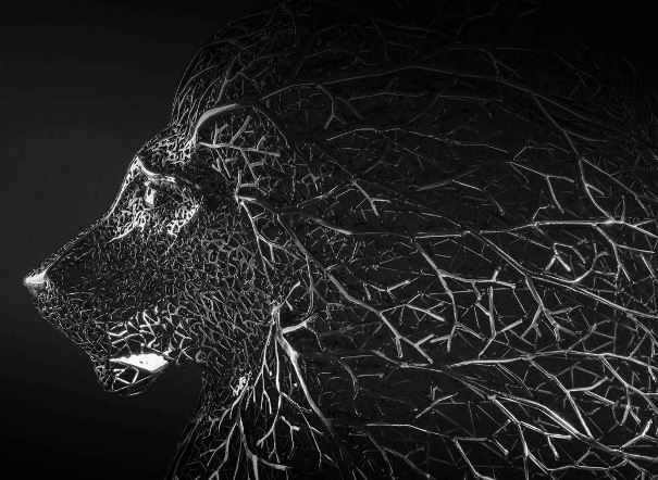 دولت توخالی